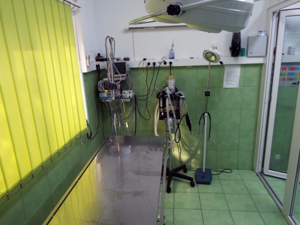 Cabinet veterinar Iraida VetCabinet veterinar Iraida Vet